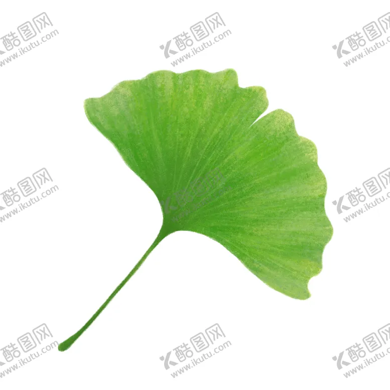 编号：57862204130753509267【酷图网】源文件下载-秋天银杏叶