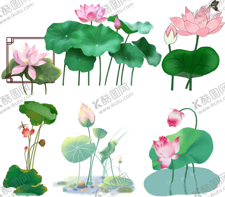 编号：52737612101607212420【酷图网】源文件下载-荷花荷叶