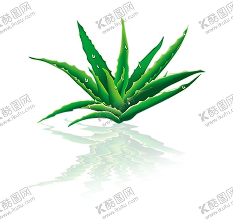 编号：40365710300336035625【酷图网】源文件下载-植物