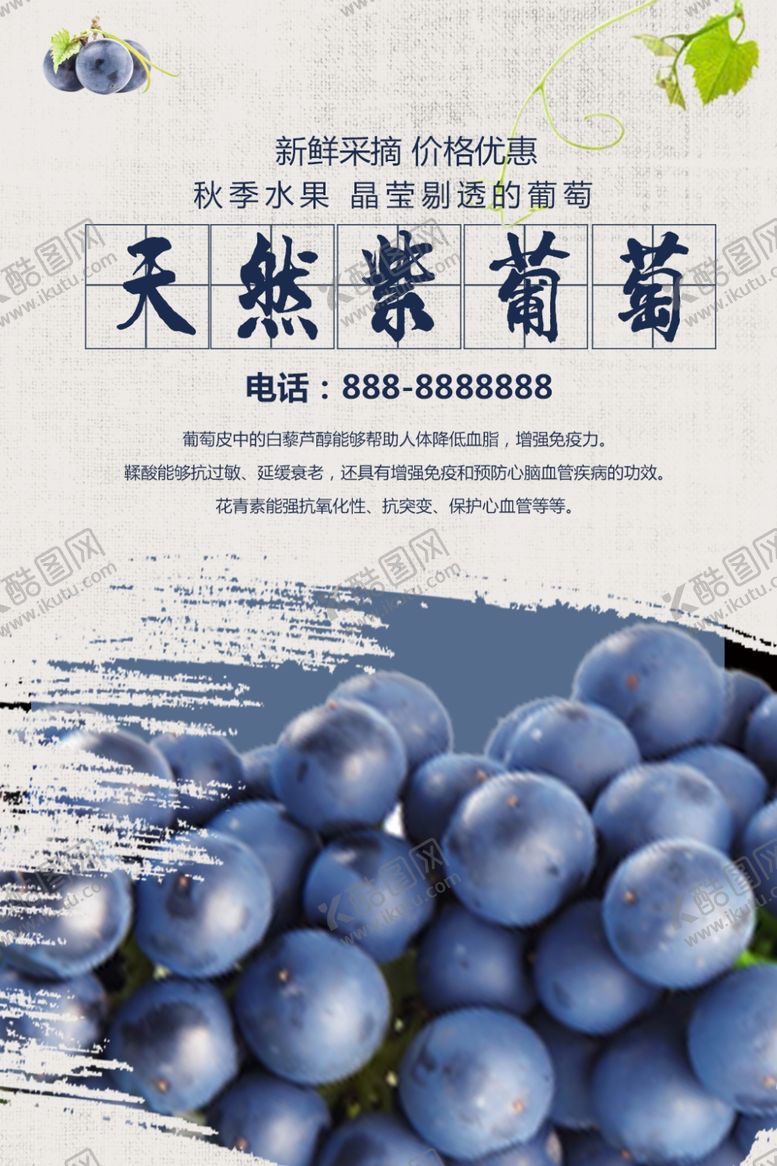 编号：92374310100542531177【酷图网】源文件下载-葡萄