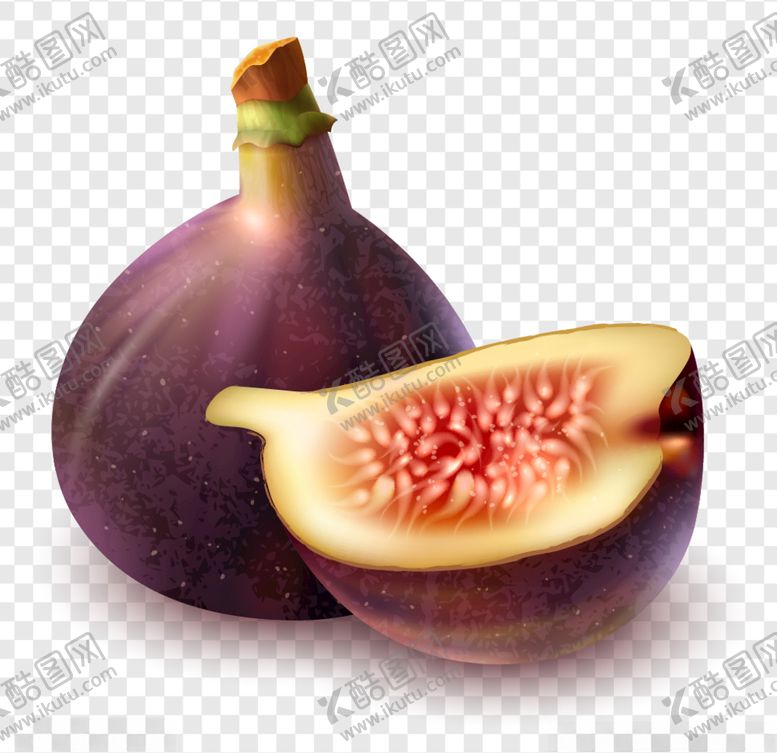 编号：51423810280607024426【酷图网】源文件下载-无花果