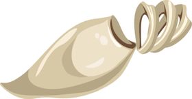 海鲜产品动物产食物料理