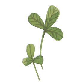 绿色水彩植物树叶