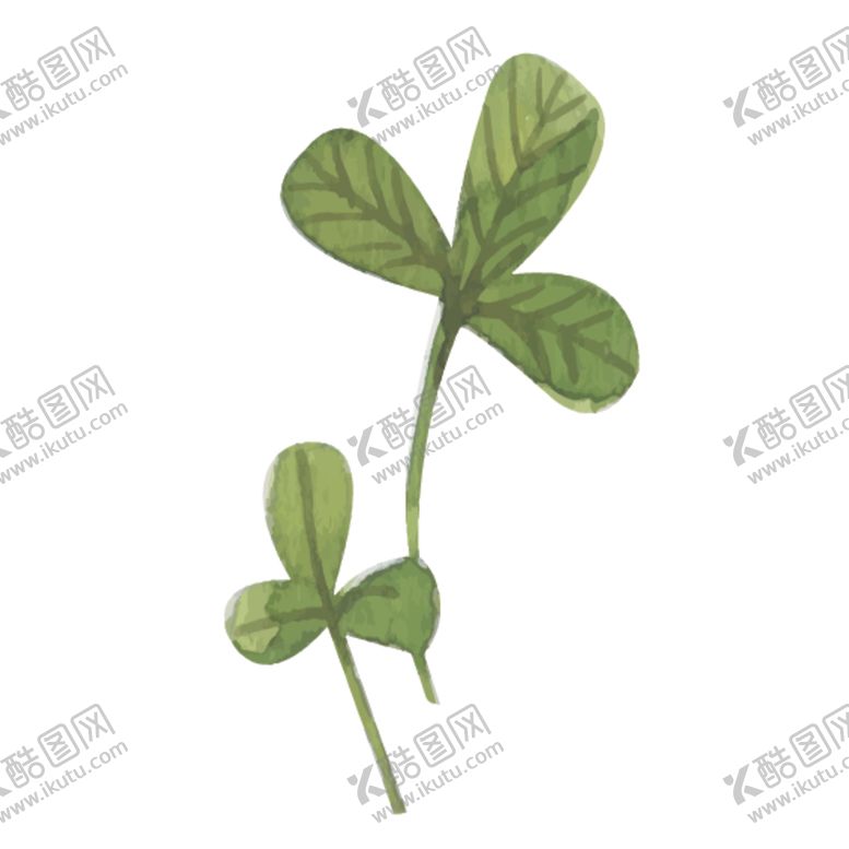 编号：49936307032329194267【酷图网】源文件下载-绿色水彩植物树叶