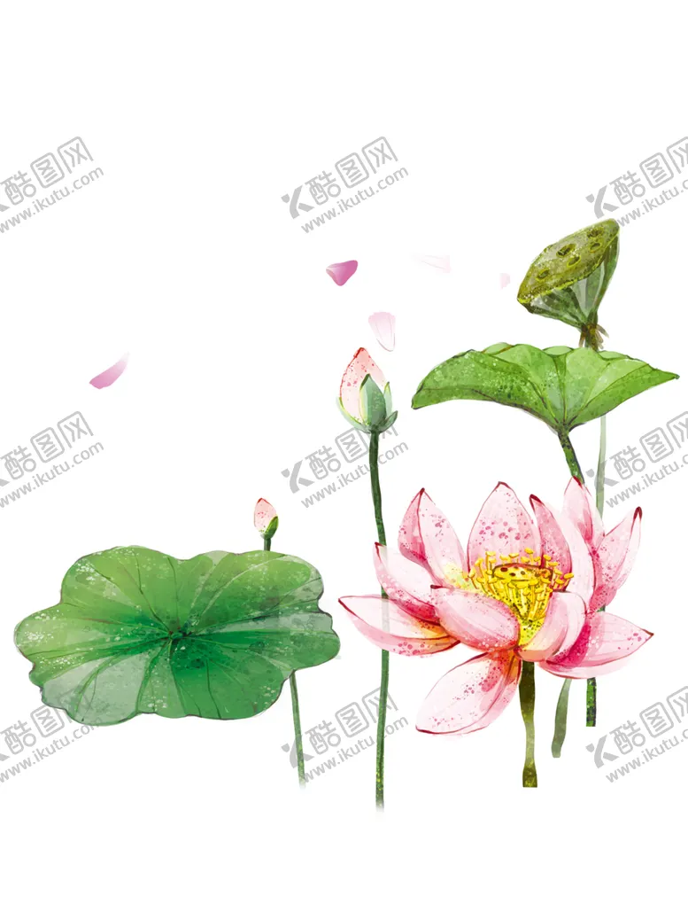 编号：46710404160938323177【酷图网】源文件下载-荷花元素