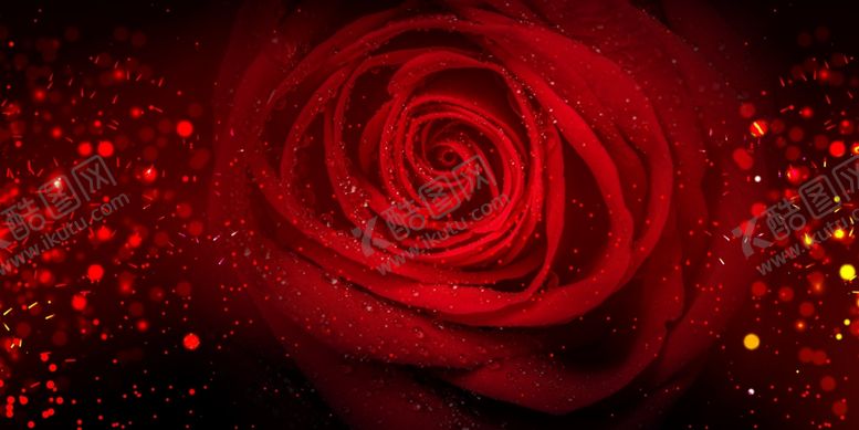 编号：64618510011308443564【酷图网】源文件下载-玫瑰花花朵立体情人节爱情甜蜜