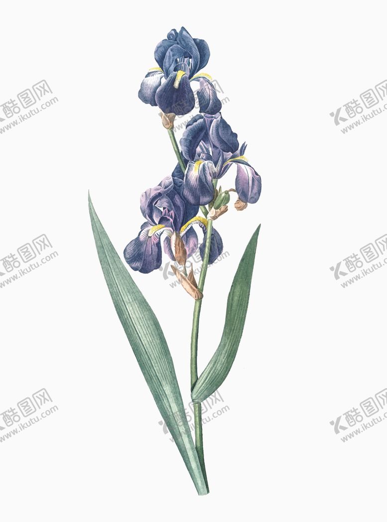 编号：49642110302140348987【酷图网】源文件下载-花纹