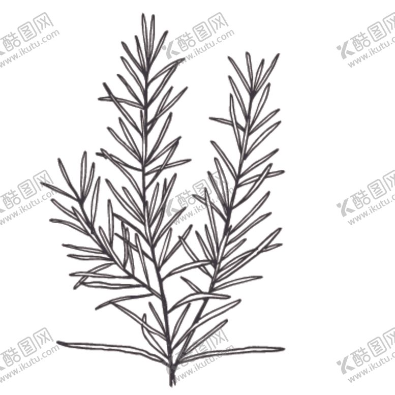 编号：36675610200459393801【酷图网】源文件下载-简笔绘画植物花朵图谱
