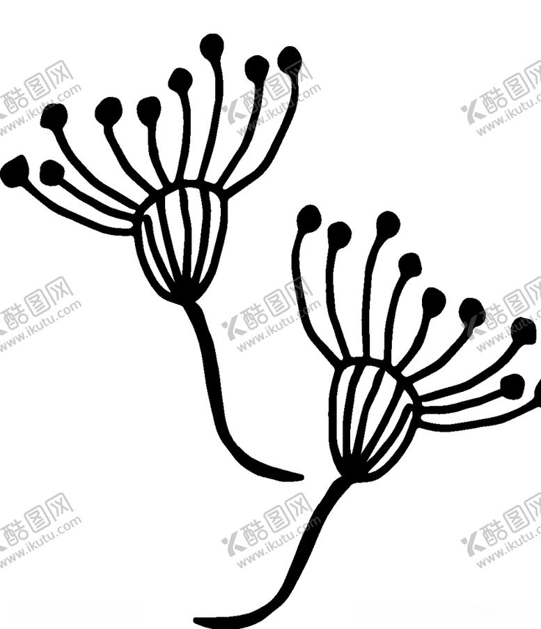 编号：69040209222154543860【酷图网】源文件下载-黑白简约线条植物绘画