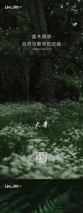 大暑微单
