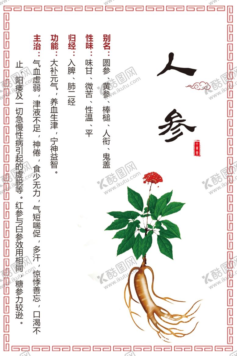 编号：12117510090525059369【酷图网】源文件下载-人参草药