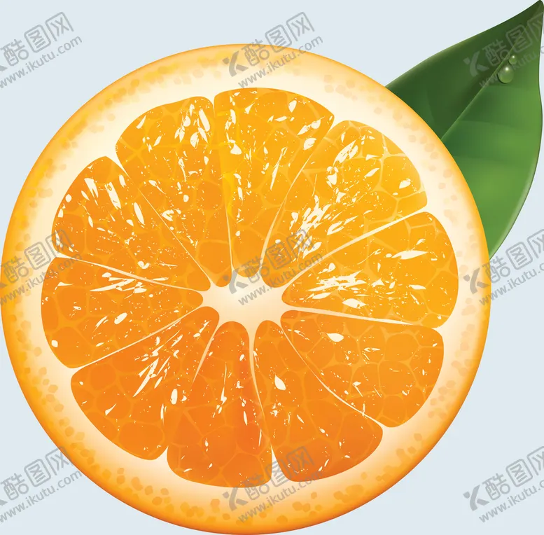 编号：05461709261500071497【酷图网】源文件下载-橙子