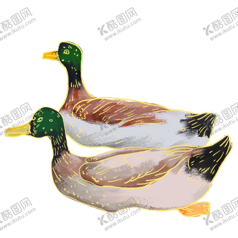 编号：19706509131000112518【酷图网】源文件下载-立春鸭子春天