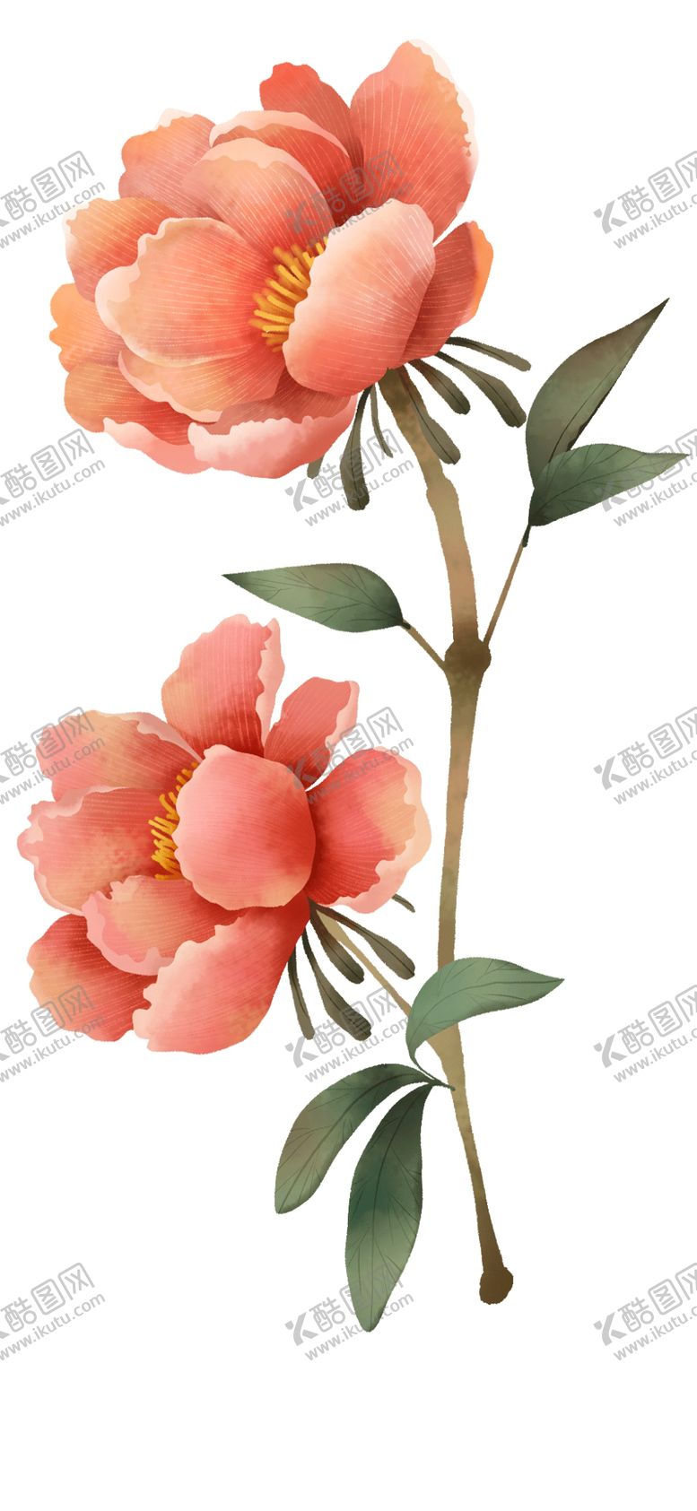 编号：61009404181023329628【酷图网】源文件下载-橘色鲜花