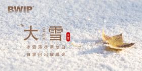 大雪海报