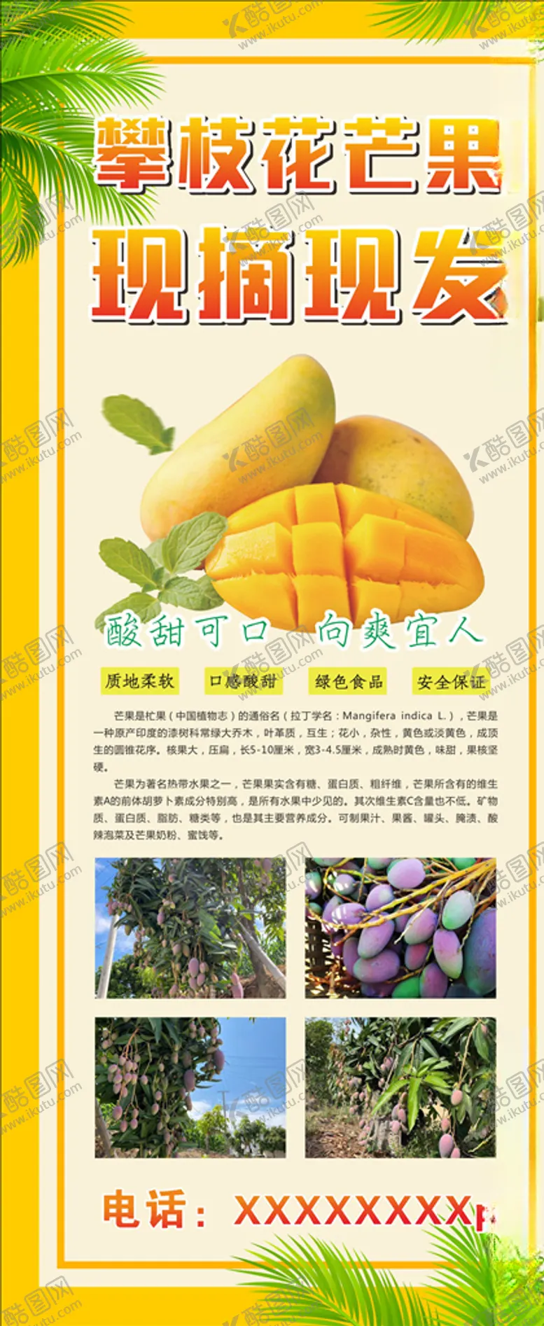 编号：80049504071421405608【酷图网】源文件下载-芒果海报