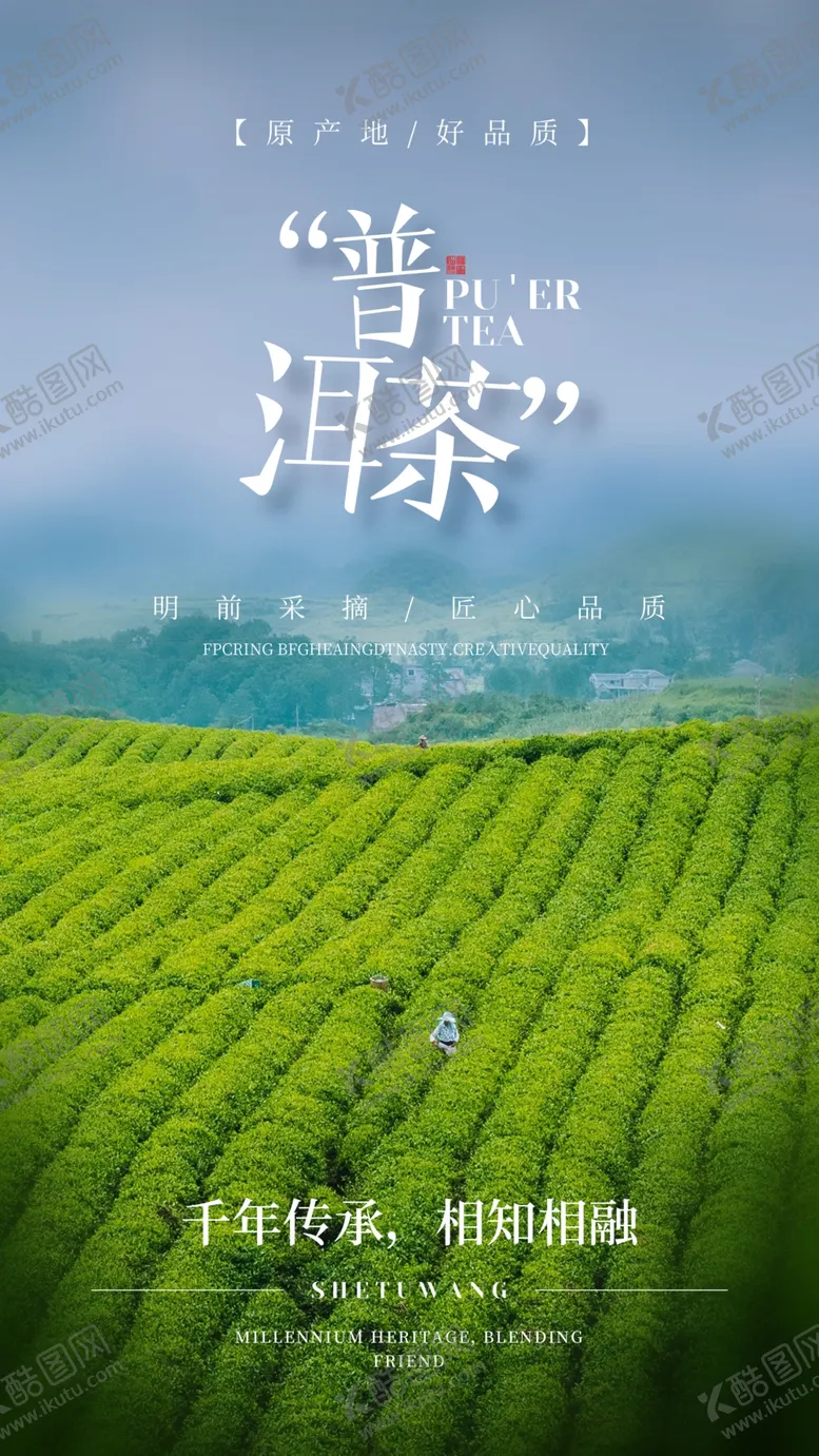 编号：10967309130359331042【酷图网】源文件下载-普洱茶海报云南普洱