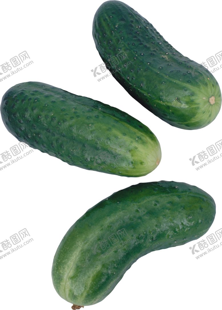 编号：10703606271458077230【酷图网】源文件下载-黄瓜
