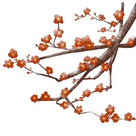 梅花素材