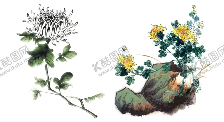 编号：15875707010849513524【酷图网】源文件下载-水墨菊花