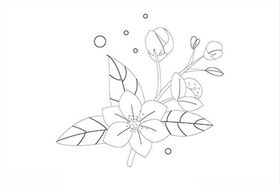 矢量花朵印花花纹图案