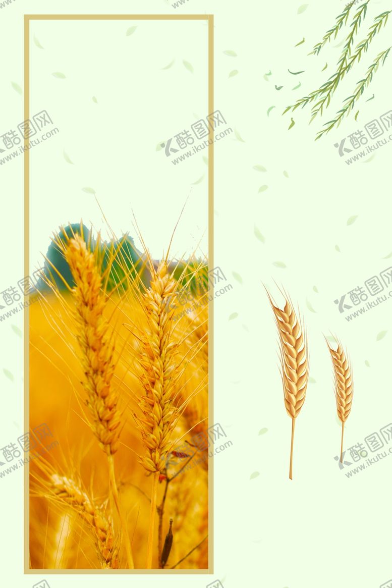 编号：24032606231742256528【酷图网】源文件下载-光盘行动节约粮食