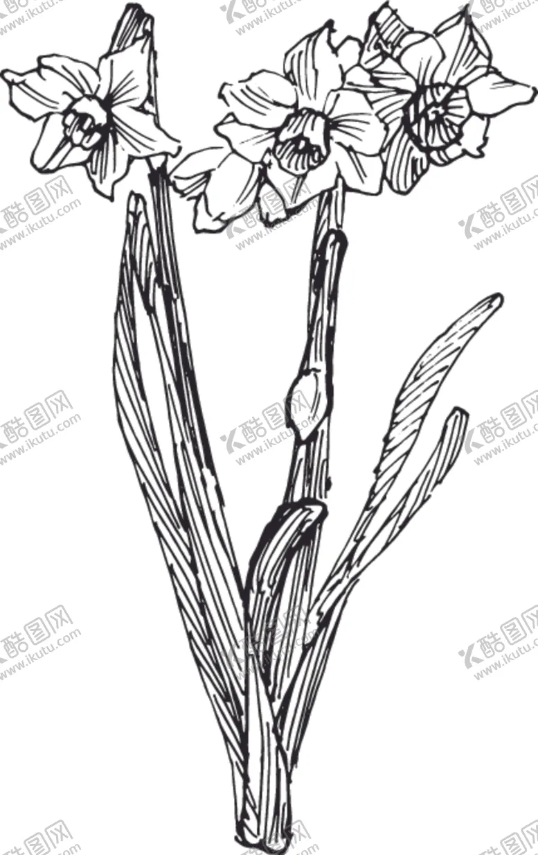 编号：91422606151956236671【酷图网】源文件下载-素描鲜花
