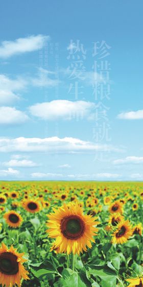 食堂文化墙幼儿园雕刻单位