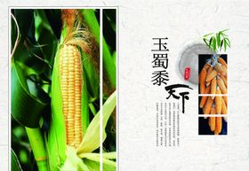 水果蔬菜画册