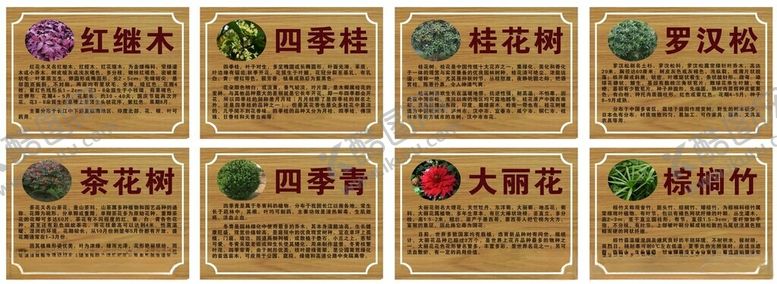 编号：31624710022326464497【酷图网】源文件下载-树牌简介