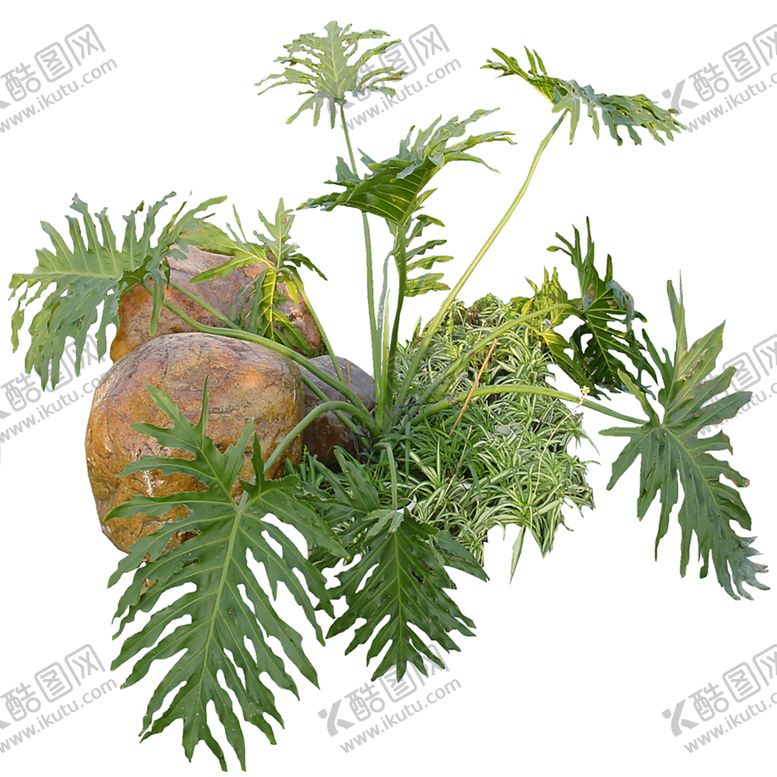 编号：33610310111112061781【酷图网】源文件下载-绿色背景