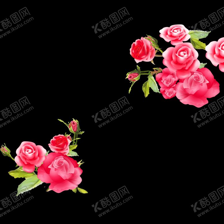 编号：65212804300412439562【酷图网】源文件下载-玫瑰花