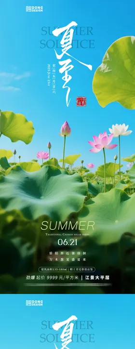 夏至荷花海报