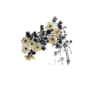国画菊花