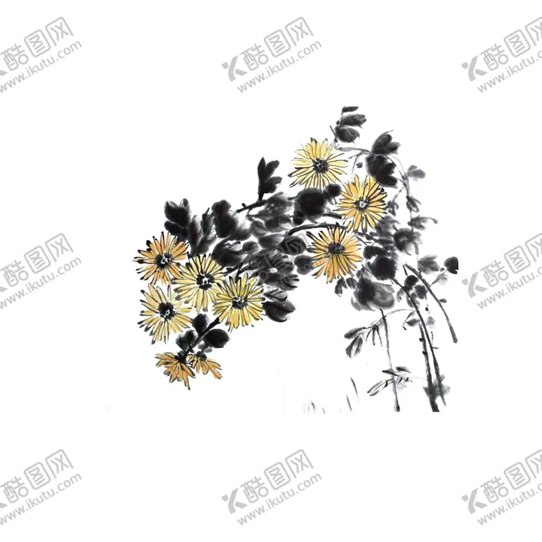 编号：96268906290135479538【酷图网】源文件下载-国画菊花