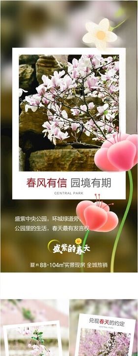 春天系列