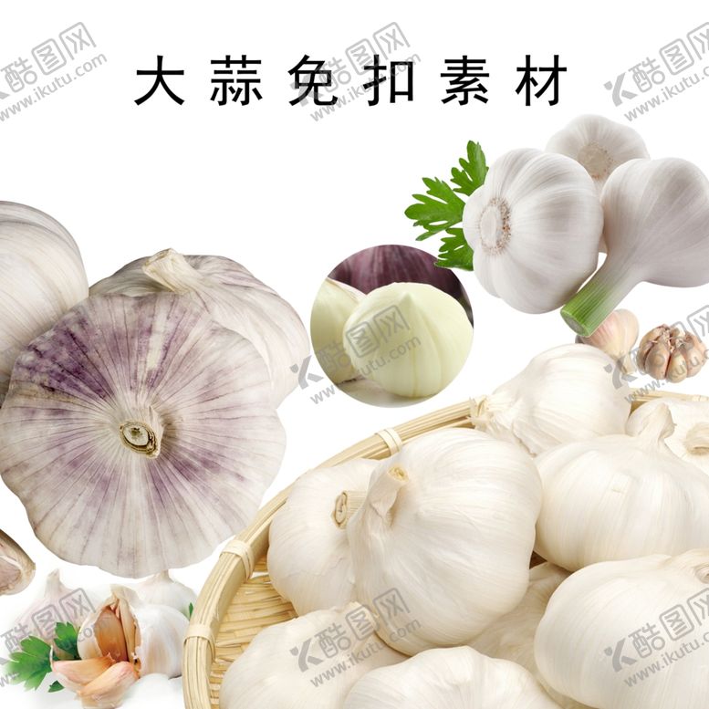 编号：77271910140847034377【酷图网】源文件下载-大蒜免扣素材