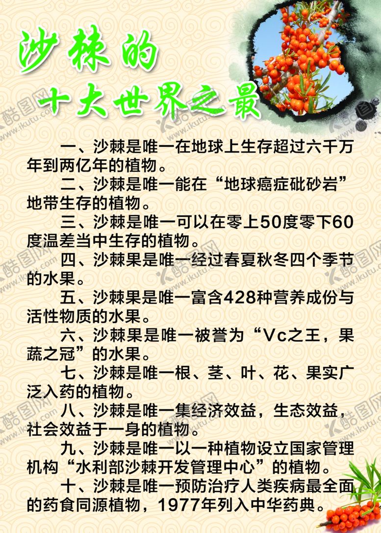 编号：22047707060123164091【酷图网】源文件下载-沙棘养生
