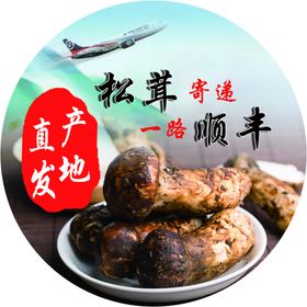 松茸寄递