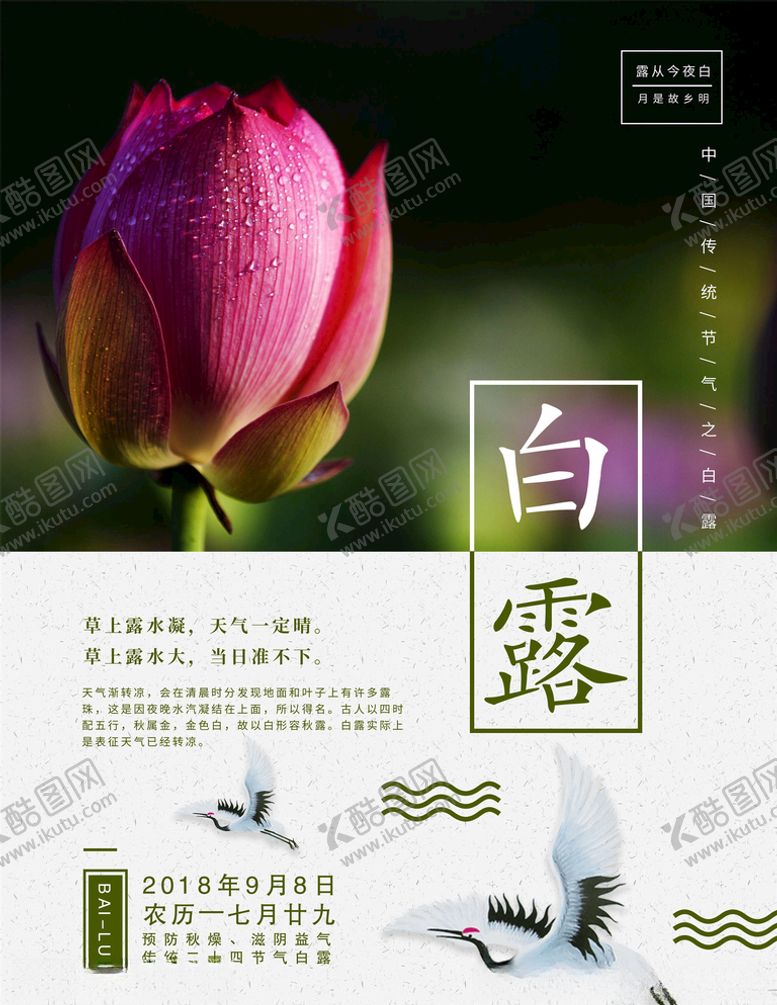 编号：19252304300953067102【酷图网】源文件下载-白露