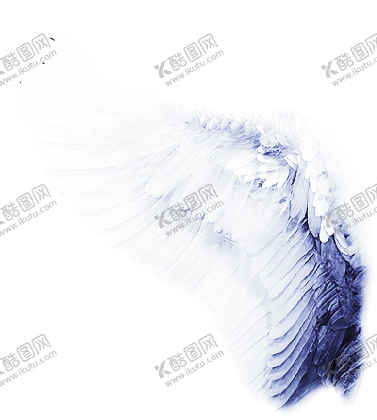 编号：70627309261241594321【酷图网】源文件下载-花素材