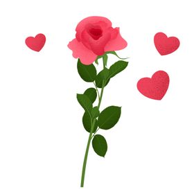 玫瑰花装饰素材