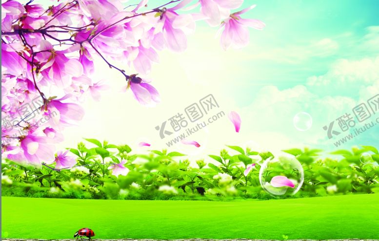 编号：83323407070537575745【酷图网】源文件下载-栀子花百合花蓝天白云背景墙小清