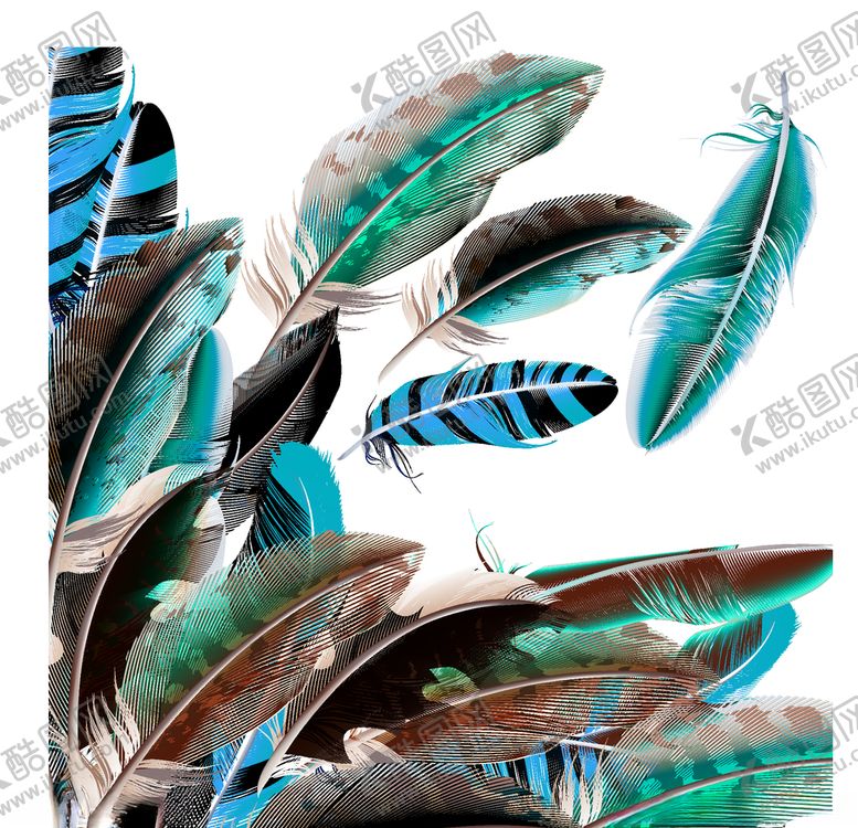 编号：60420610121212213558【酷图网】源文件下载-羽毛