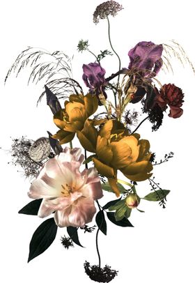 装饰花png