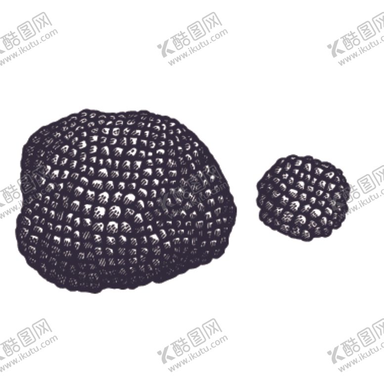 编号：91338205131038494434【酷图网】源文件下载-餐饮食物插画元素