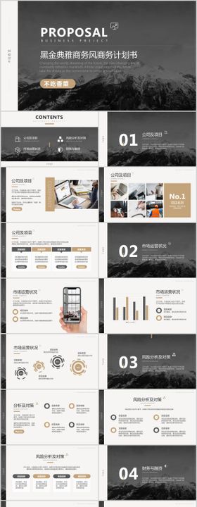 黑金典雅商务风商业计划书