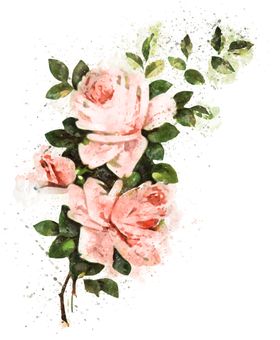 手绘花卉
