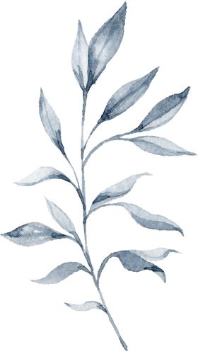 水彩绘画花朵树枝装饰