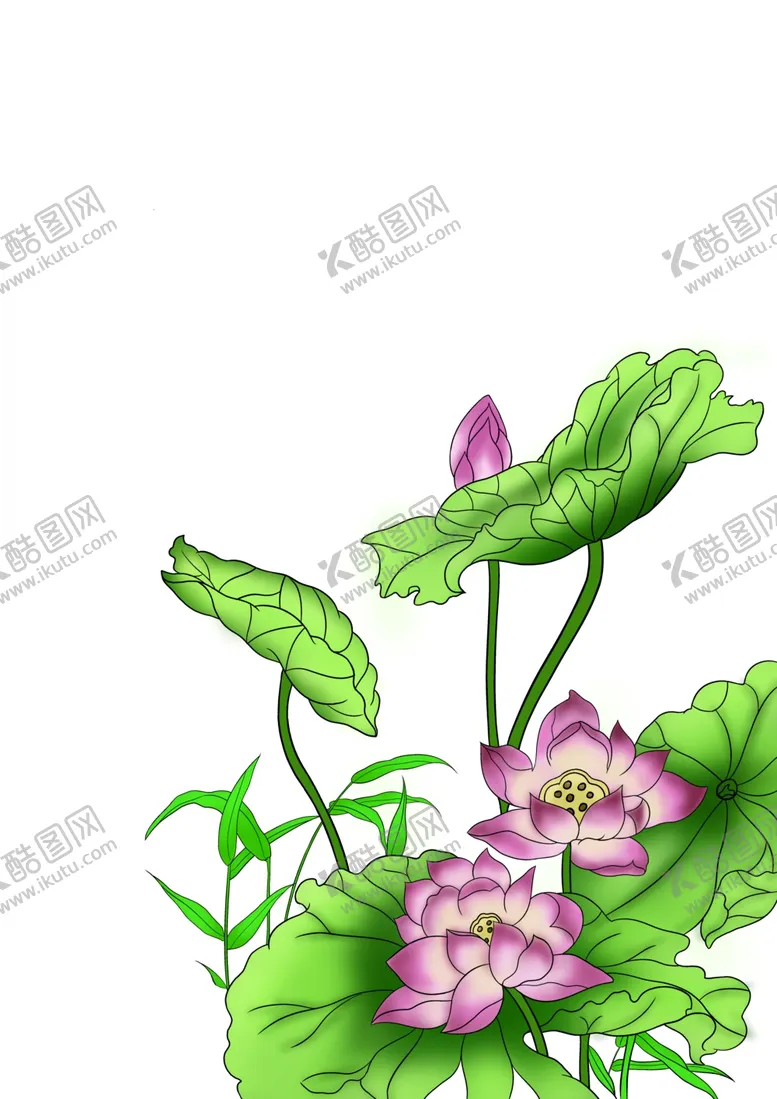 编号：59986406272101447068【酷图网】源文件下载-荷花